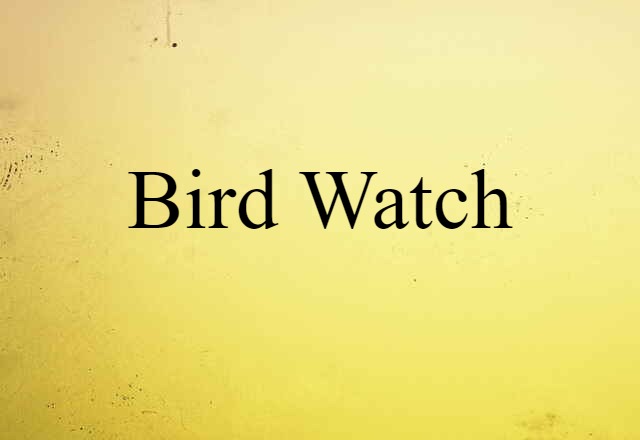 Bird-watch (noun) Definition, Meaning & Examples