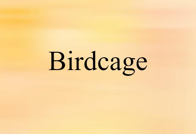 Birdcage (noun) Definition, Meaning & Examples