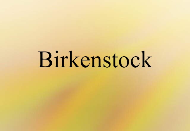 Birkenstock (noun) Definition, Meaning & Examples