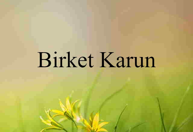 Birket Karun (noun) Definition, Meaning & Examples