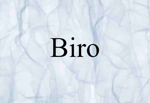 Biro (noun) Definition, Meaning & Examples