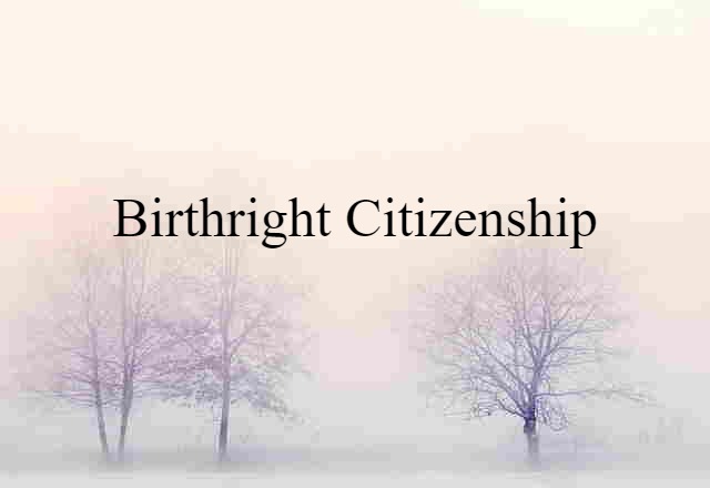 Birthright Citizenship (noun) Definition, Meaning & Examples