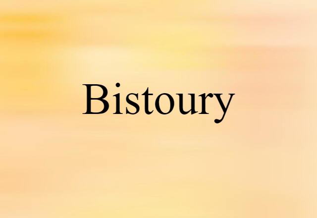 bistoury