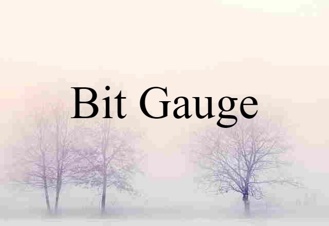 Bit Gauge (noun) Definition, Meaning & Examples