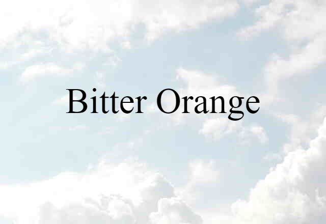 Bitter Orange (noun) Definition, Meaning & Examples