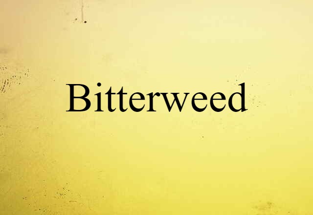 Bitterweed (noun) Definition, Meaning & Examples