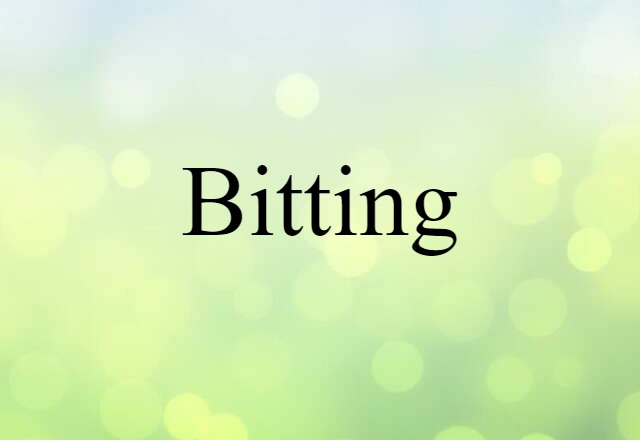 Bitting (noun) Definition, Meaning & Examples