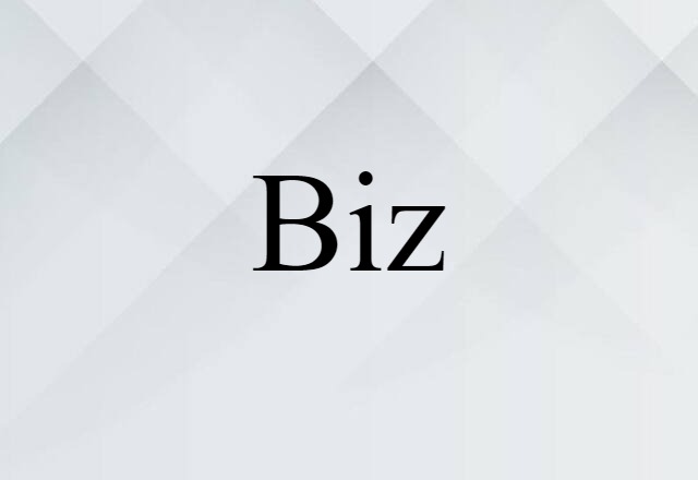 Biz (noun) Definition, Meaning & Examples