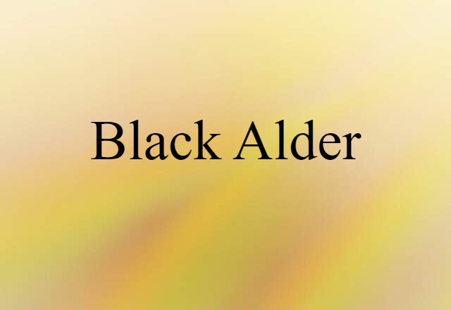 black alder