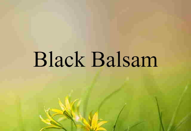 Black Balsam (noun) Definition, Meaning & Examples