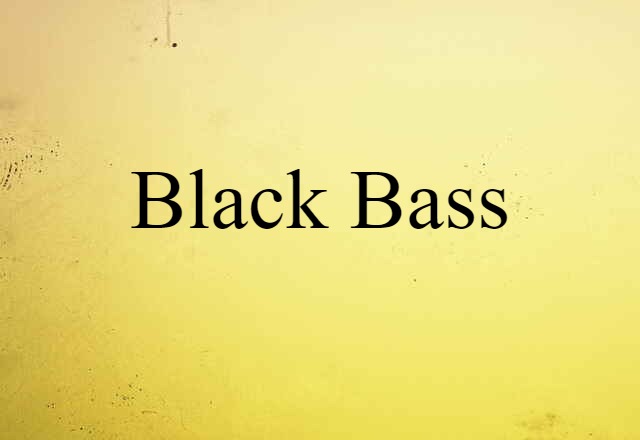 black bass