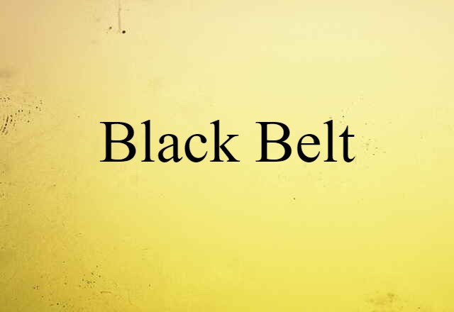 Black Belt (noun) Definition, Meaning & Examples