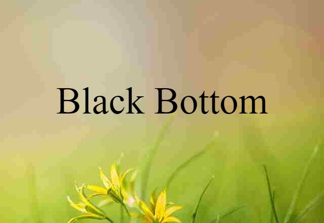 Black Bottom (noun) Definition, Meaning & Examples