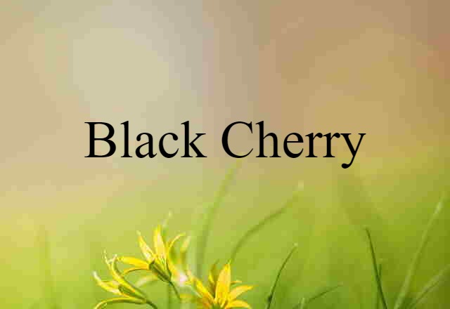 black cherry