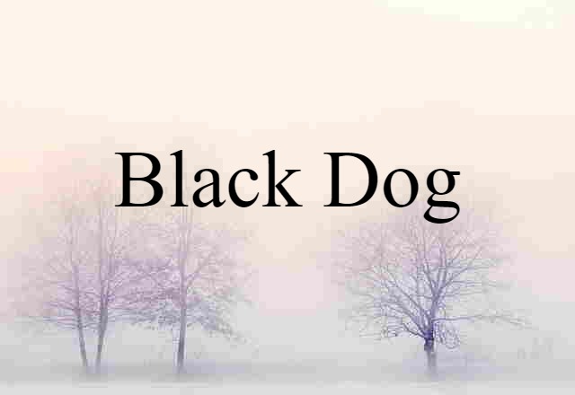 black dog