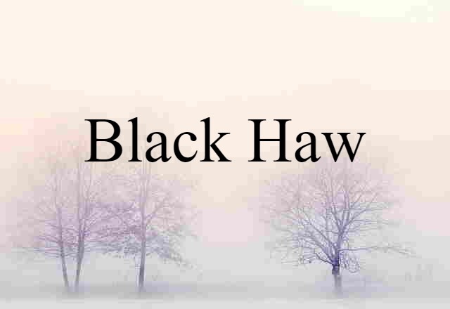 Black Haw (noun) Definition, Meaning & Examples