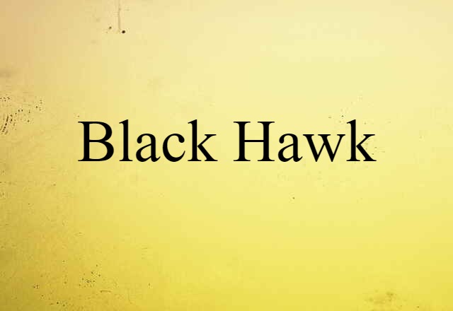 Black Hawk (noun) Definition, Meaning & Examples