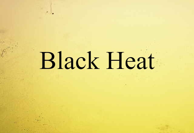 Black Heat (noun) Definition, Meaning & Examples