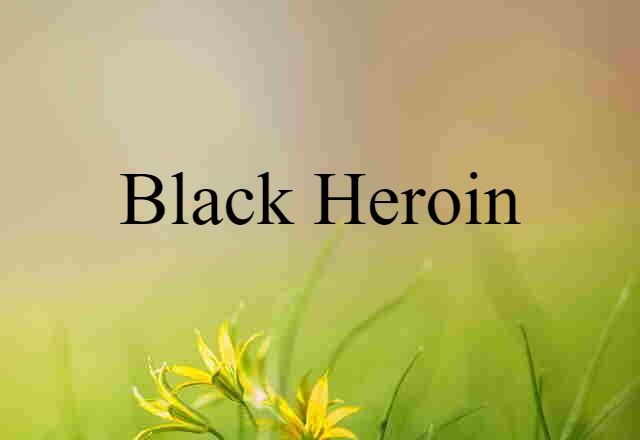 Black Heroin (noun) Definition, Meaning & Examples