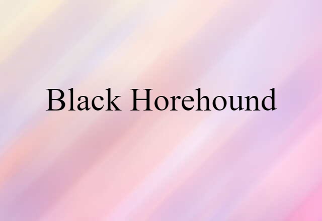 black horehound