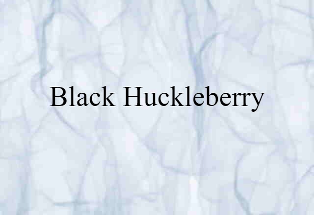 Black Huckleberry (noun) Definition, Meaning & Examples