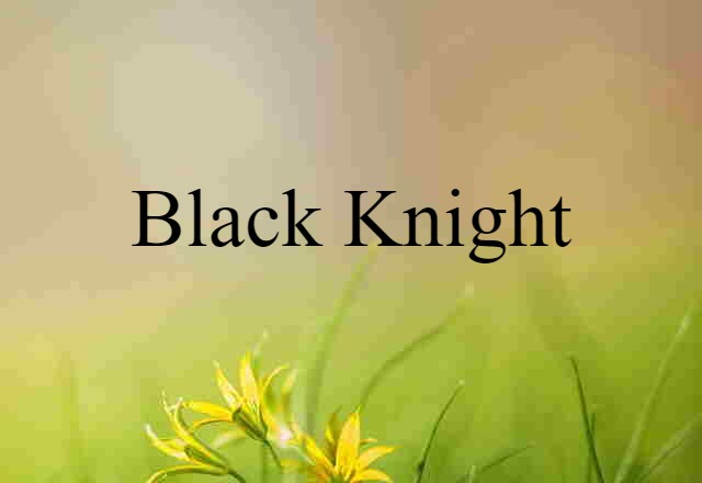 Black Knight (noun) Definition, Meaning & Examples