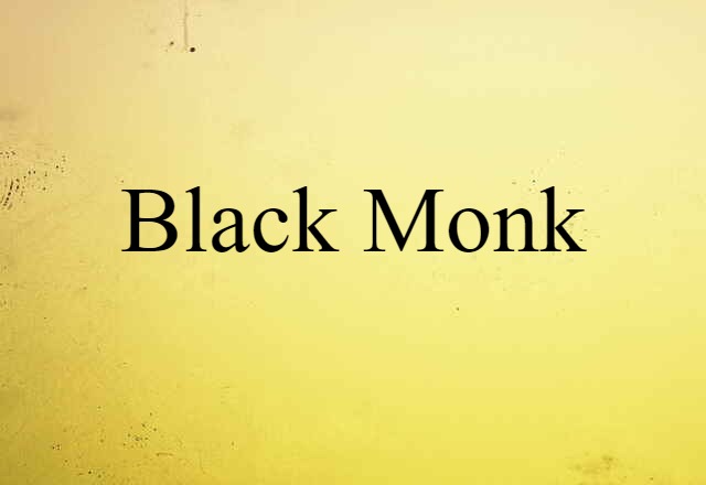 Black Monk (noun) Definition, Meaning & Examples