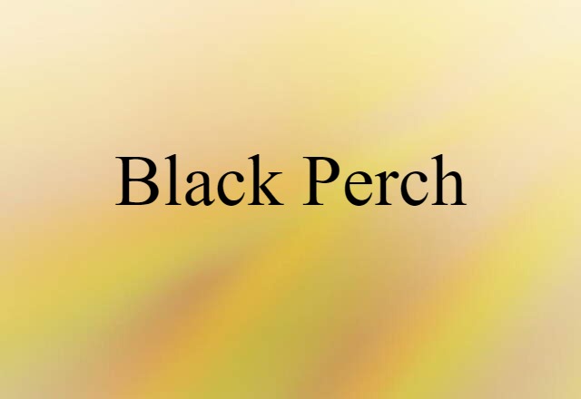 Black Perch (noun) Definition, Meaning & Examples