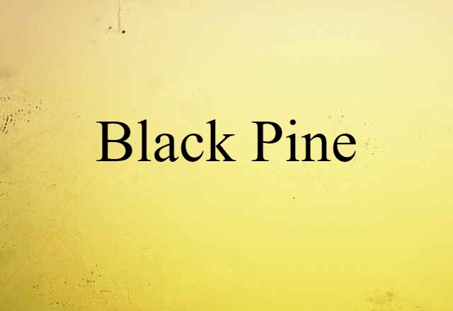 black pine