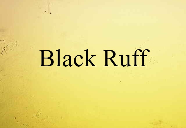 Black Ruff (noun) Definition, Meaning & Examples