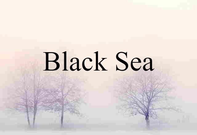 Black Sea (noun) Definition, Meaning & Examples