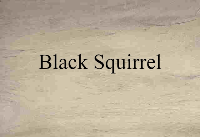 Black Squirrel (noun) Definition, Meaning & Examples