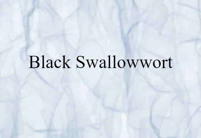 Black Swallowwort (noun) Definition, Meaning & Examples