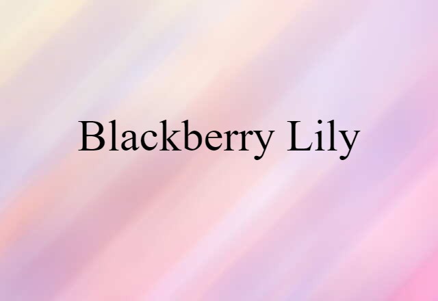 Blackberry Lily (noun) Definition, Meaning & Examples