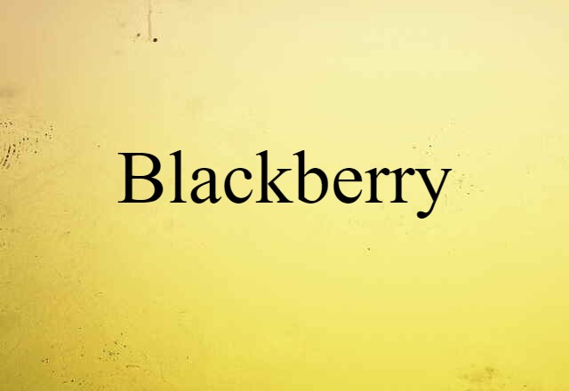 Blackberry (noun) Definition, Meaning & Examples