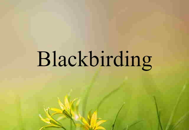 blackbirding