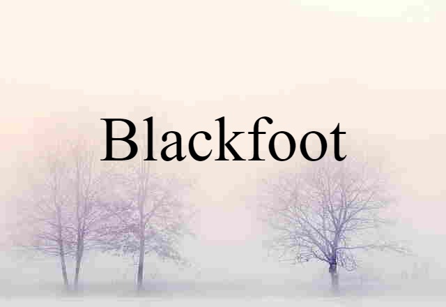 Blackfoot