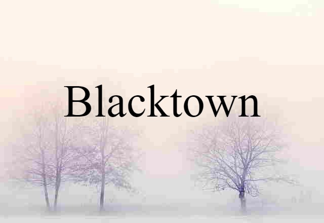 Blacktown (noun) Definition, Meaning & Examples