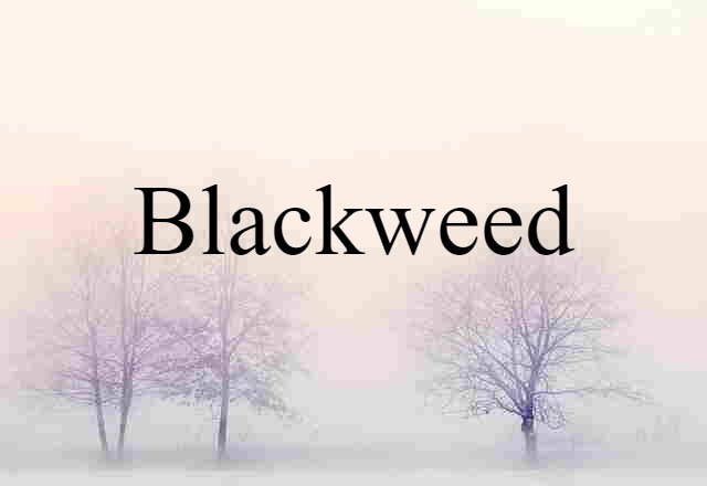 Blackweed (noun) Definition, Meaning & Examples