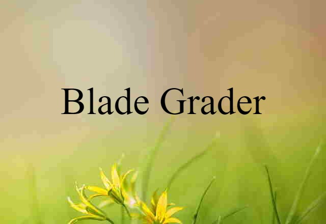 Blade Grader (noun) Definition, Meaning & Examples