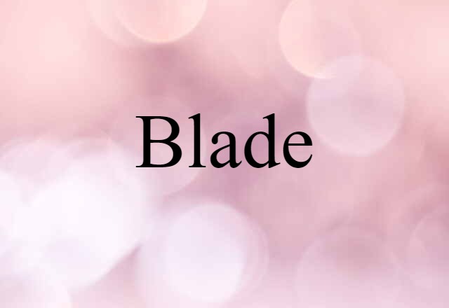 Blade (noun) Definition, Meaning & Examples