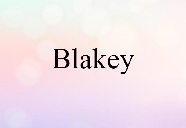 Blakey (noun) Definition, Meaning & Examples