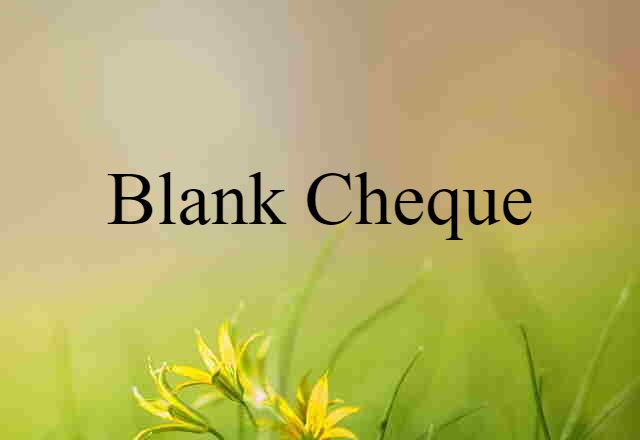 Blank Cheque (noun) Definition, Meaning & Examples