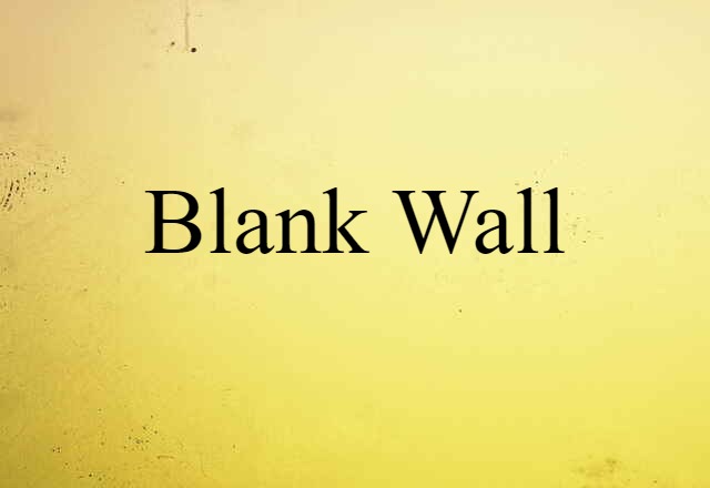 Blank Wall (noun) Definition, Meaning & Examples