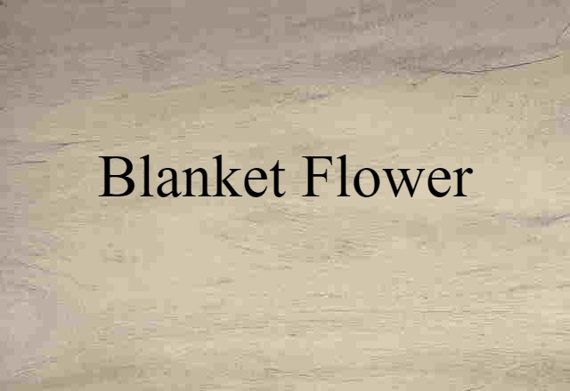 blanket-flower