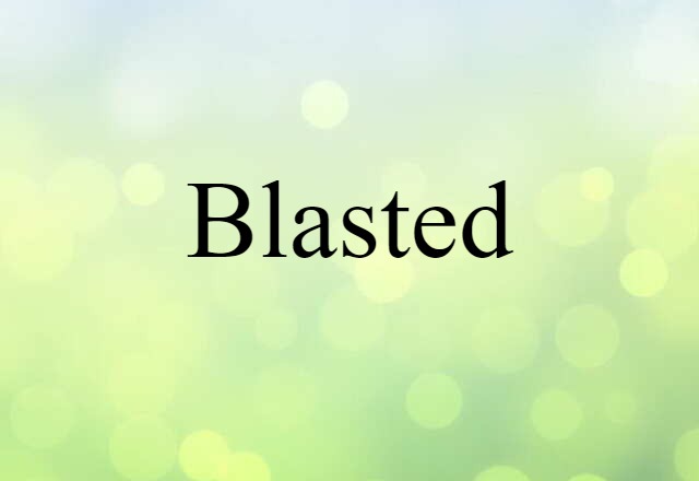 Blasted (noun) Definition, Meaning & Examples