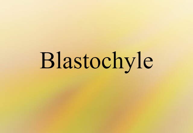 blastochyle