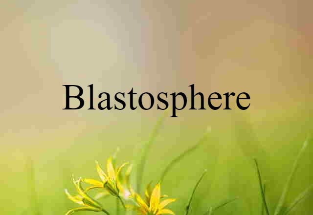 Blastosphere (noun) Definition, Meaning & Examples