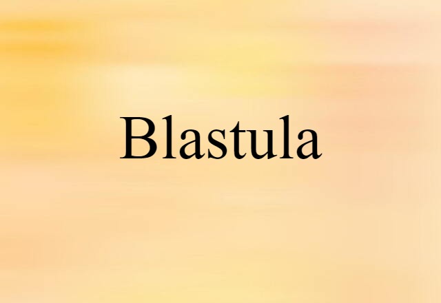 Blastula (noun) Definition, Meaning & Examples