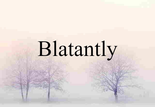 Blatantly (noun) Definition, Meaning & Examples